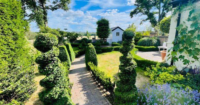 Luxury bespoke garden design with paving, planting, and lighting in South London by Wicked Gardens LTD